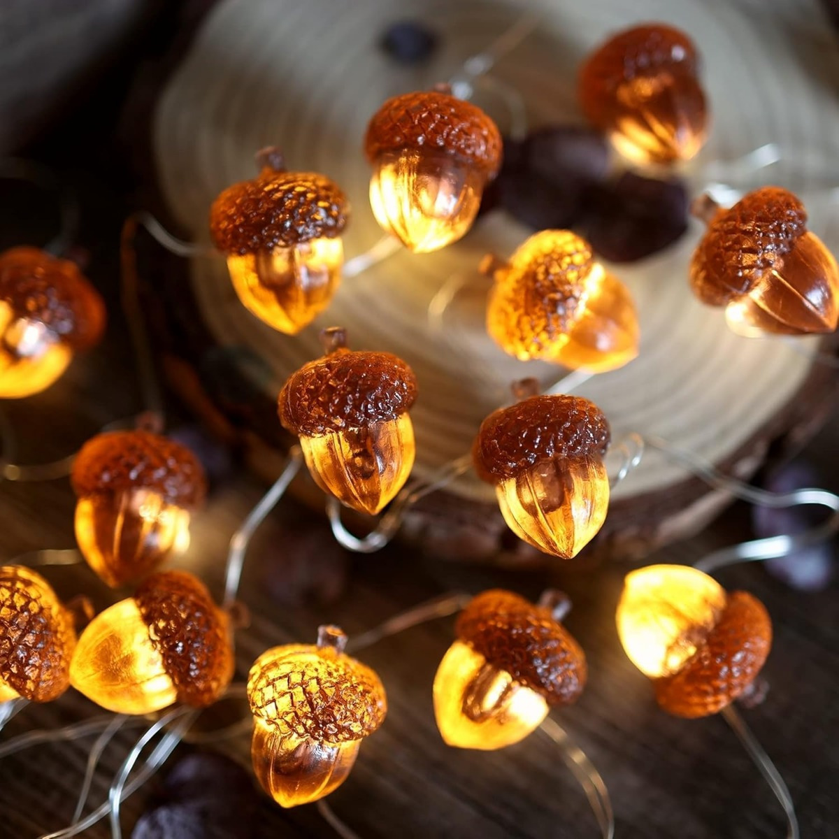 Led Fairy String Lights - 30 LEDs Eichel Lichterketten Thanksgiving Dekorationen