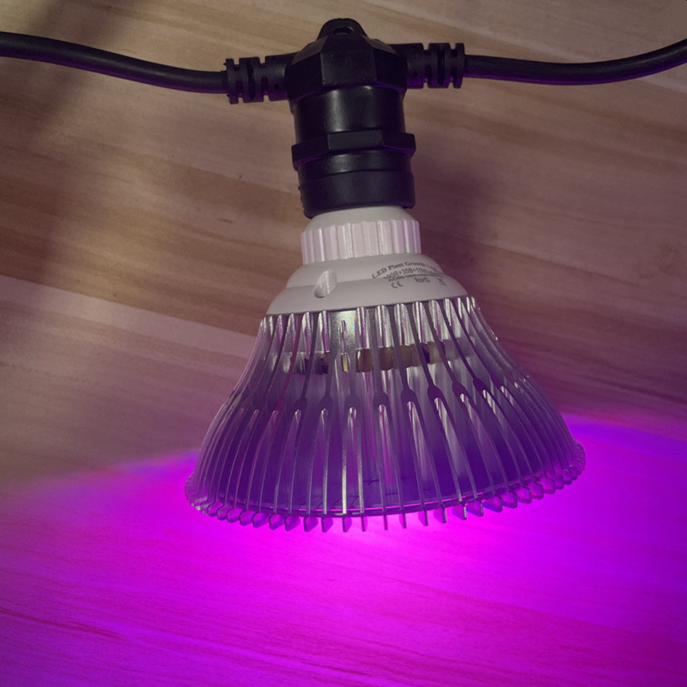 10 m langes LED-Kabel, wasserd – Led Fairy String Lights Bewertung und Preis